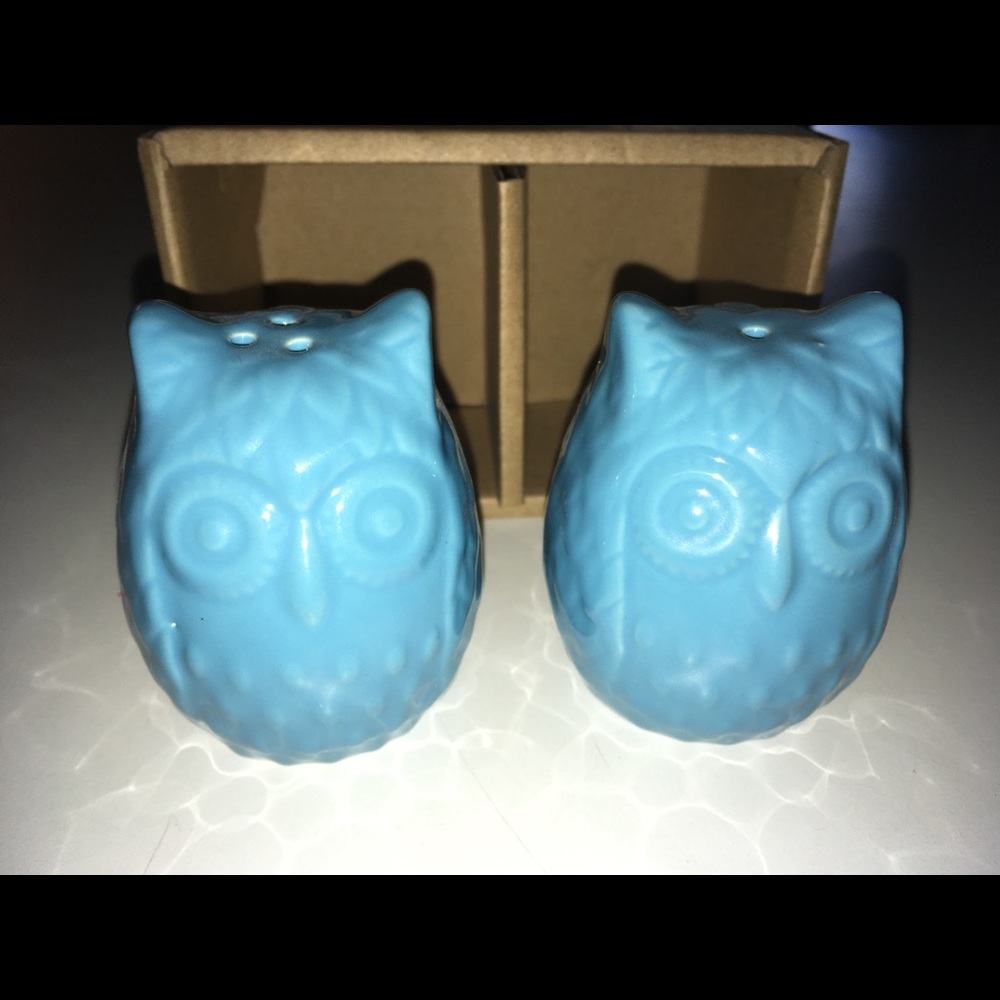 Blue owl salt and pepper shakers
